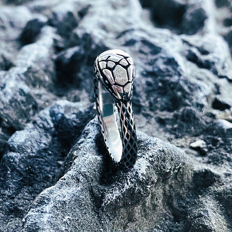 Bague viking éternel Ouroboros argent Bague viking éternel Ouroboros argent