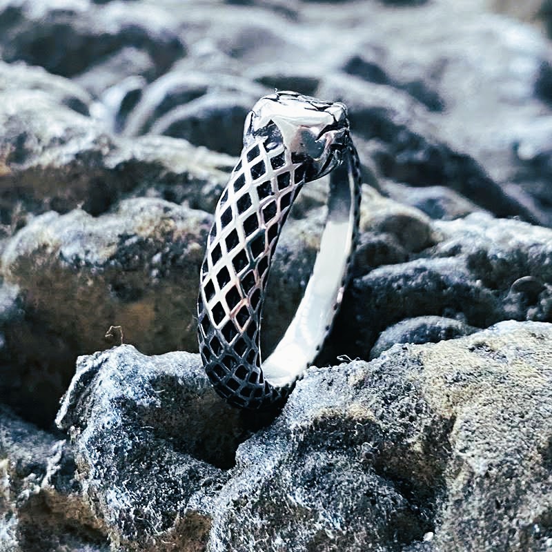 Bague viking éternel Ouroboros Jormungand Bague viking éternel Ouroboros Jormungand