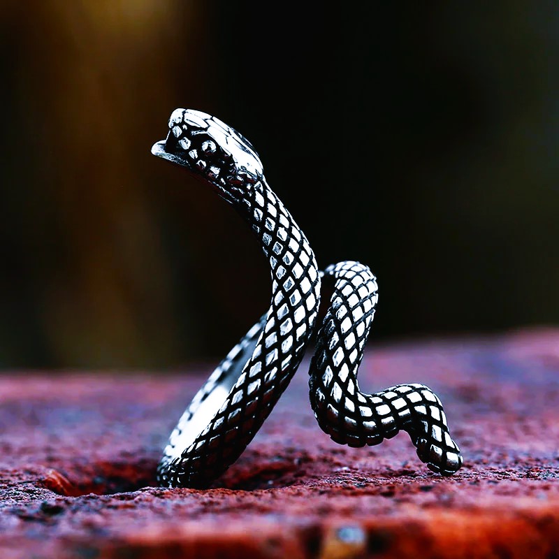 Bague celte serpent Ouroboros Bague celte serpent Ouroboros